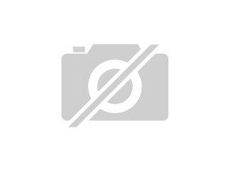 Deutsche Doggen Welpen VDH/DDC/FCI